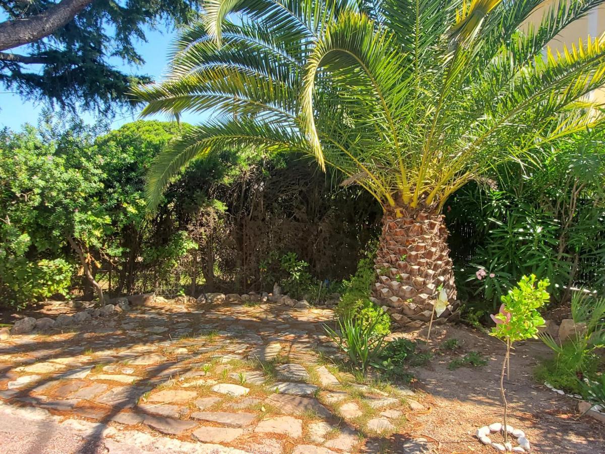 Port T2 58m2 Climatise Avec Terrasse, Parki Appartement Fréjus